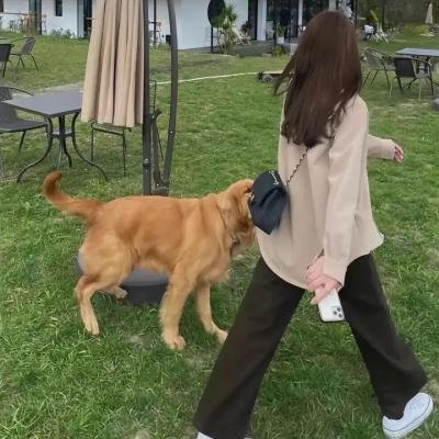 蓝色监狱